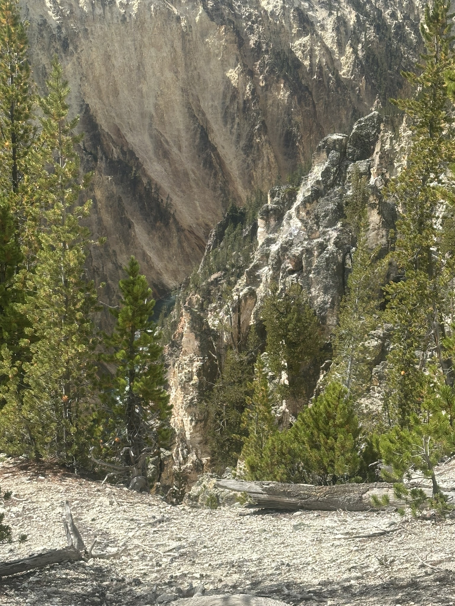 Yellowstone And Grand Teton National Parks - Image 473